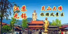 日韩骚逼江苏无锡灵山大佛旅游风景区