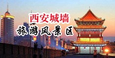 嫩逼网站久久网站中国陕西-西安城墙旅游风景区